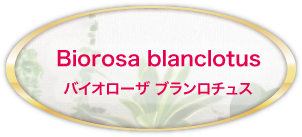 バイオローザブランロチュスのページ